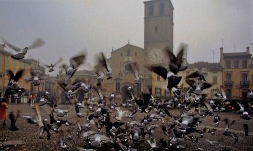 In piazza con...