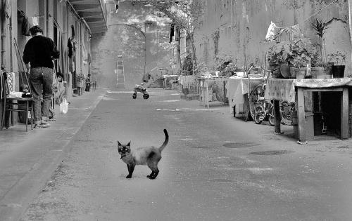 Cortile Via Indipendenza anni '70