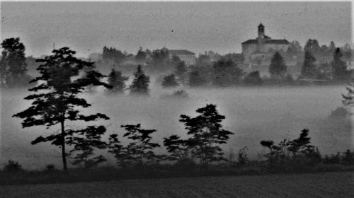 Nebbia